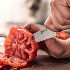 Kochmesser compact 14 cm