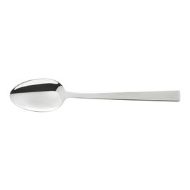 Coffee spoon polished