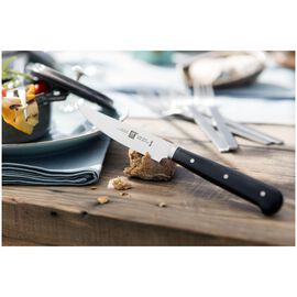 Set da bistecca seghettato - 4-pz.
