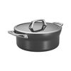 Motion, 5 qt, Aluminum, Non-stick, Hard Anodized Dutch Oven, small 1