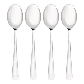 Dinner spoon set 4 Piece