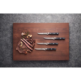 Steakmesserset 4-tlg