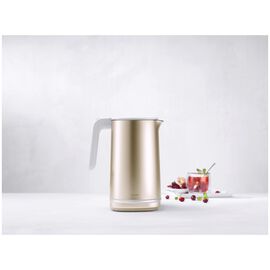 Bouilloire électrique Pro, 1,5 l, Doré